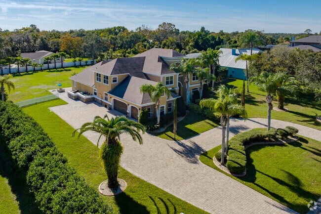 This sprawling Harbor Oaks home is dotted with native Florida palms.