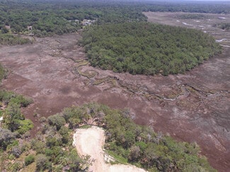 255 James Dr, Richmond Hill, GA 31324