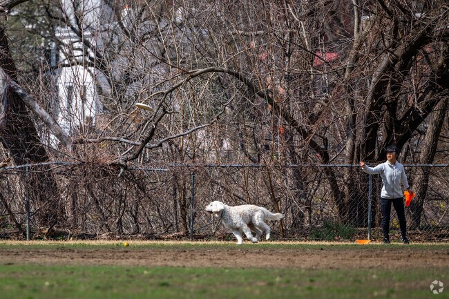 Francis Field is popular among pet owners for its dog park.