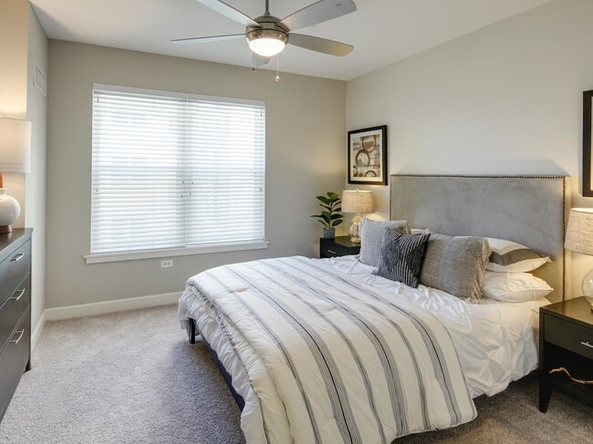 AMLI Evanston, Evanston, IL 60202 - photo 4