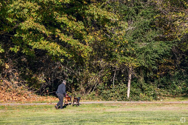 Hiker with her dogs starts at the trailhead for 360 trails.