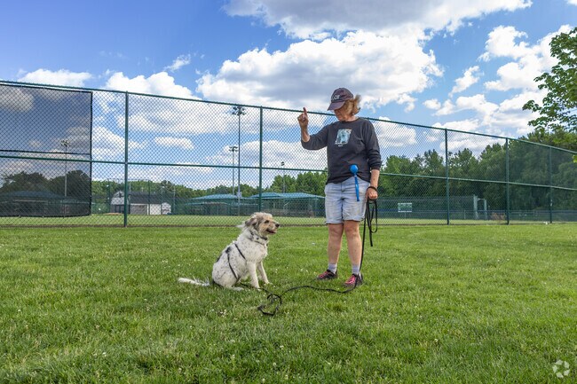 Pets love going for a stroll in Holiday Village.