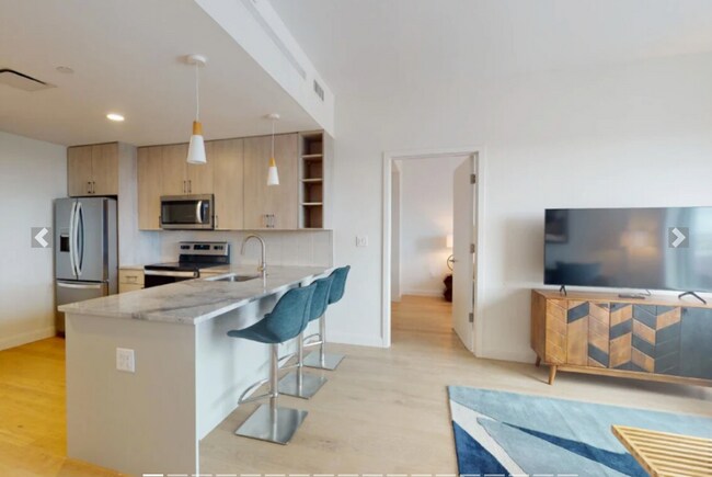 55 Brighton Ave unit 202, Allston, MA 02134 - photo 5