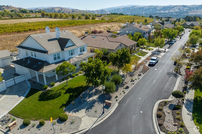 A line of homes in Livermore Valley is nestled among the vineyards.