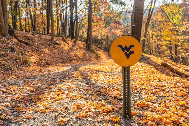 The Core Arboretum is managed by the WVU Department of Biology.