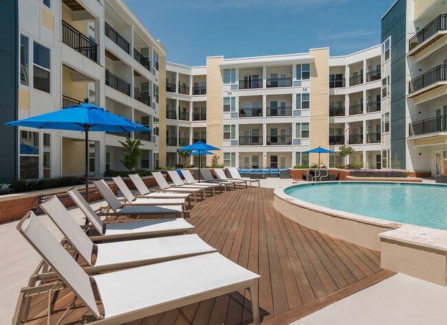 The Element At Ghent, Norfolk, VA 23517 - photo 7