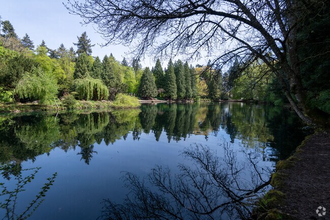 Clearwater view of the pond and trees at Laurelhurst Park in Portland, Oregon.