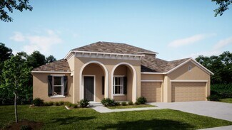 10031 White Magnolia Square, Thonotosassa, FL 33592