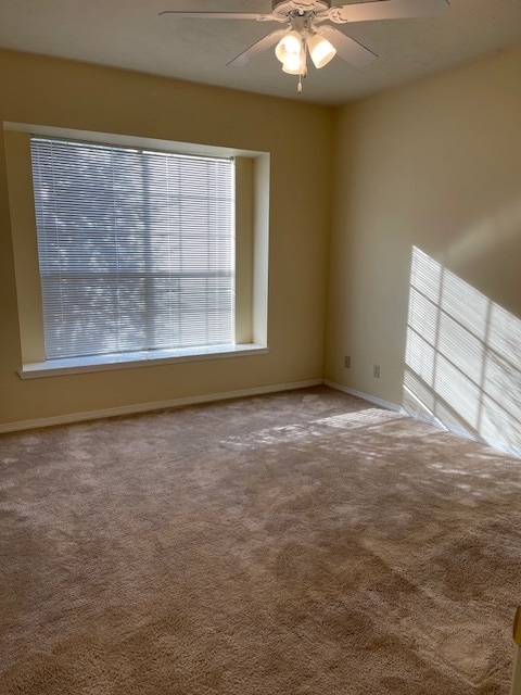 343 Stone Hill Dr unit 343 Stone Hill Unit, Brenham, TX 77833 - photo 5
