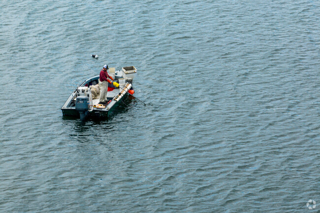 Enjoy fishing in Oyster Bay, located a short distance from Mill Neck.