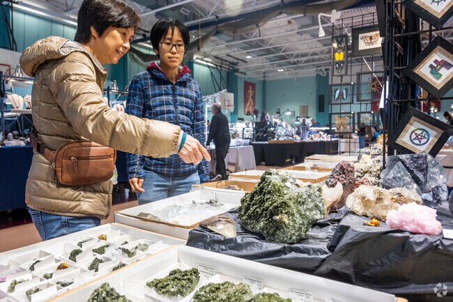 Find the rarest of Amethyst at the Gem and Mineral Show in Freeport.