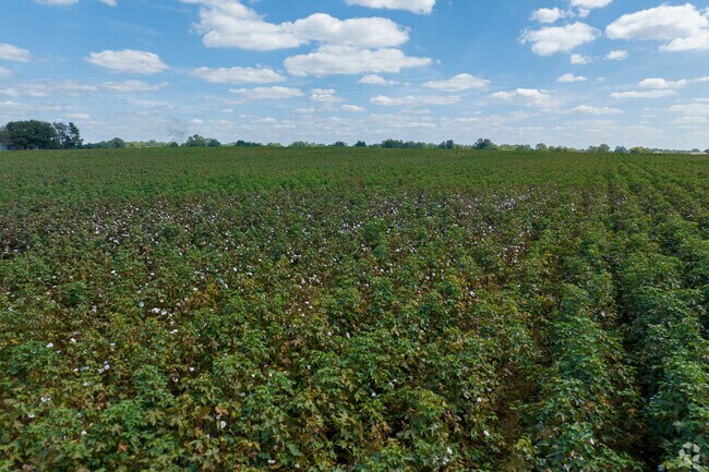 From nature preserves to fields of cotton and corn, there's a large amount of open green spaces.