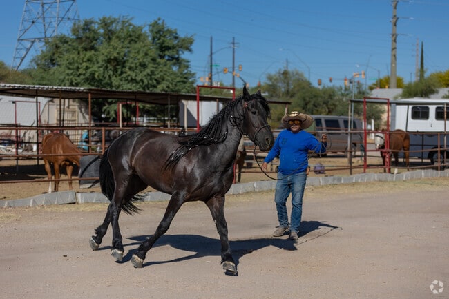 Walkable from Civano, Horse Haven prides itself in pristine horse boarding and lessons for all.