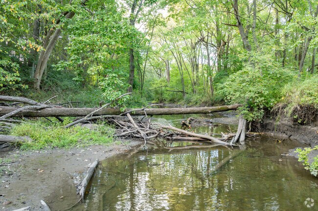 Steven's Creek runs throughout Sims-Woodridge and other surrounding neighborhoods.