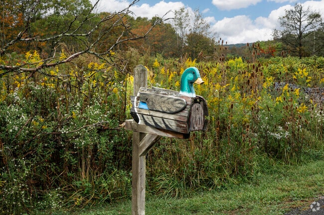 Jackson locals decorate their houses and lawns with beautiful aesthetics.