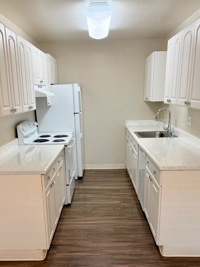 Olive Court Apartments, Fair Oaks, CA 95628 - photo 4