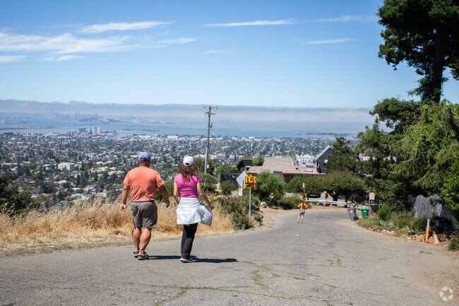 Panoramic Hill is full of walkers and hikers taking on the steep Oakland hills.