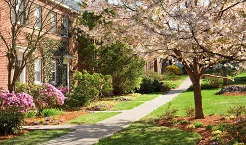 561 Vfw Pkwy unit 2STD, Chestnut Hill, MA 02467 - photo 2