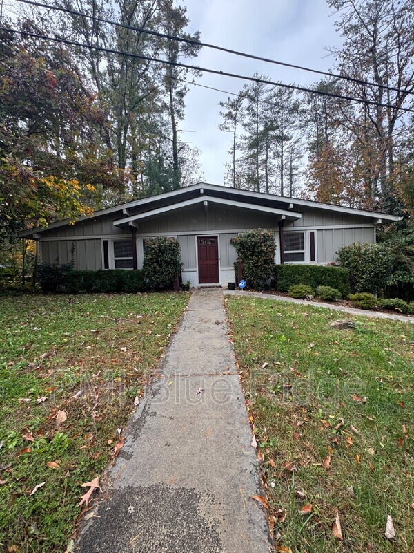 25 Leisure Mountain Rd, Asheville, NC 28804