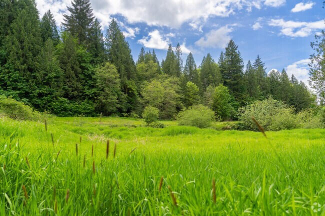 Green fields and towering Fir trees are the backdrop of life in the quiet city of Brush Prairie.