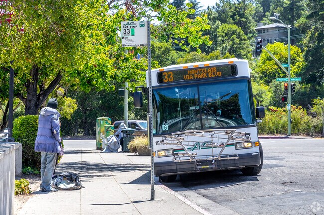 Several bus lines connect Merriwood locals to the Town with stops on Mountain Boulevard.