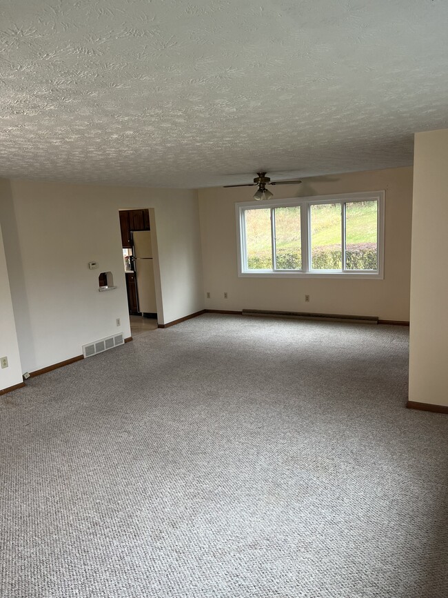 889 Ivy Ave, Wheeling, WV 26003 - photo 5