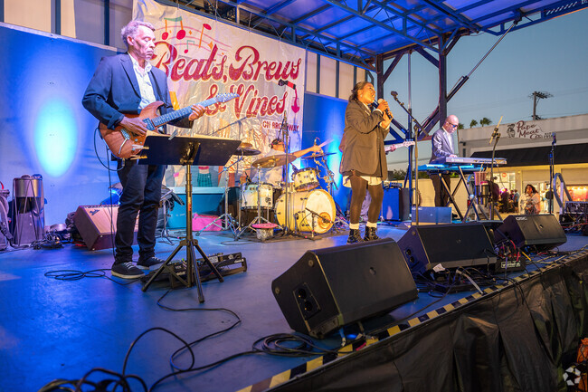 Great music is a major highlight of Beats, Brews & Vines on Broadway.
