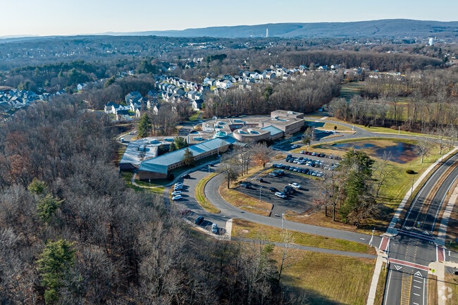 Middle School of Plainville's student body is 49% female and 51% male.