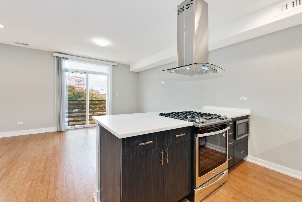 1337 W. Walton, Chicago, IL 60642 - photo 1