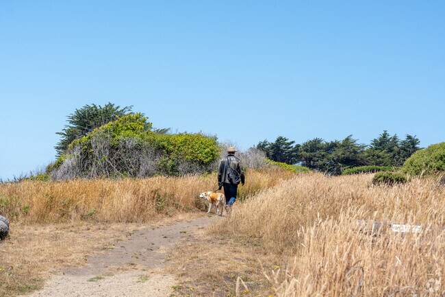 Take the pup out for a walk along the many private trails within The Sea Ranch neighborhood.