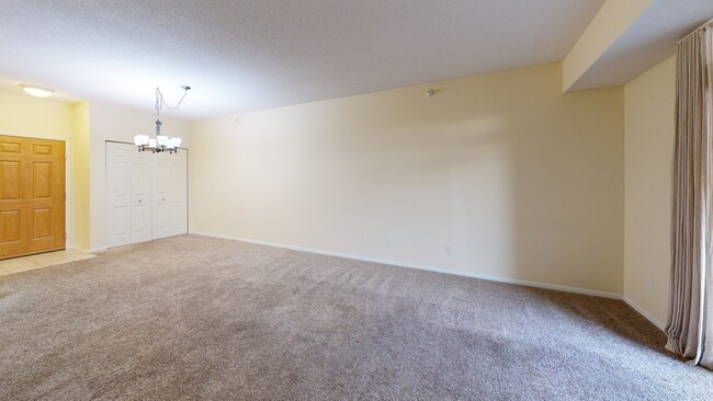 Village Grace Condominiums unit 219, Chaska, MN 55318 - photo 2