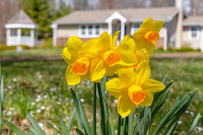 Grow into the city of Plumstead, PA.