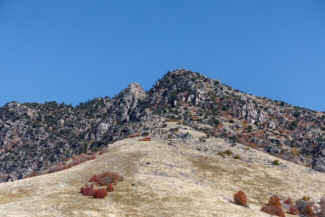 Richmond guests can enjoy tubing hills, terrain parks, and a full snowmaking system that helps ensure reliable winter operations.