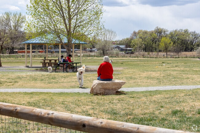 West Point dog park — a pet lover’s favorite outdoor spot.
