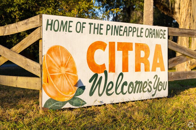 Citra is home to the Pineapple Orange, it looks like an orange with the aroma of a pineapple.