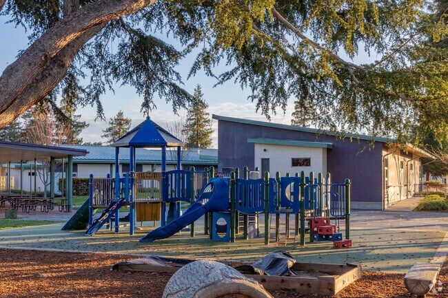 Your kids will never want to leave the playground at Duveneck Elementary School in Palo Alto.