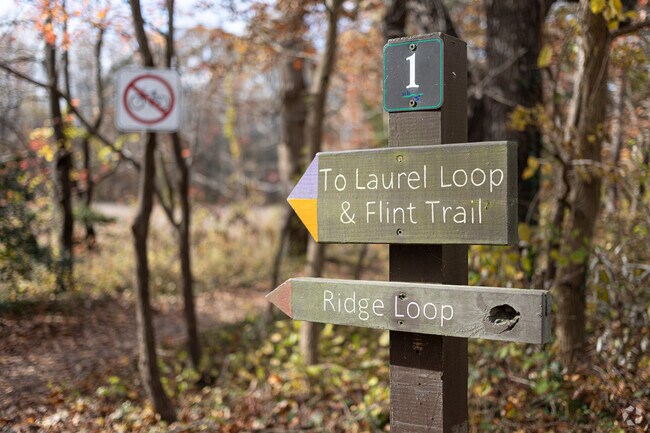 Come hike the 22 miles of trails at the American Chestnut Land Trust in Port Republic.