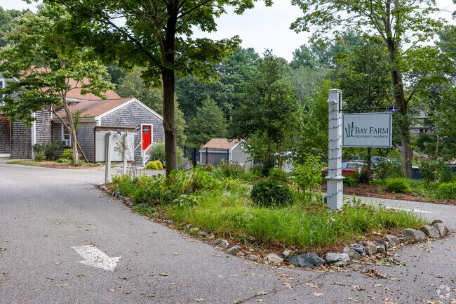 Bay Farm Montessori Academy is just one of many prestigious schools in Kingston.