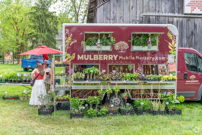You can find all kinds of herbs and plants at the Spring Garden Fair in Kingsport.