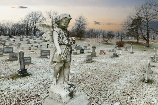 Elder is full of unique history that spans decades.