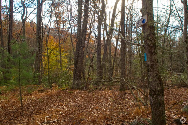Tunxis Trail offers scenic exploration near East Riverton.