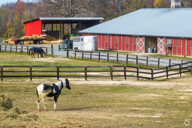 Head over to Shooting Star Horse Farm in Burnetts Chapel/Coltrane Mill for riding lessons.