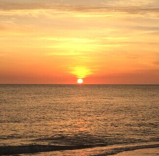 Christopher Ardezzone