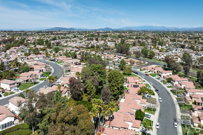 Residents love the large trees and greenery in Paloma del Sol.