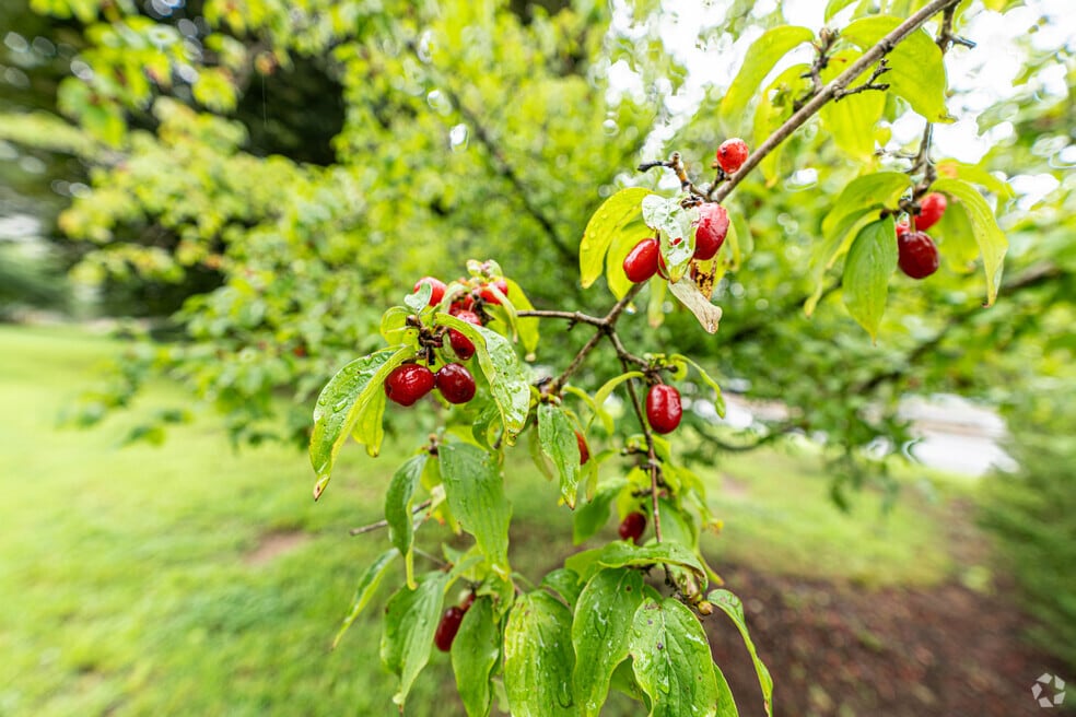 Northwest New London