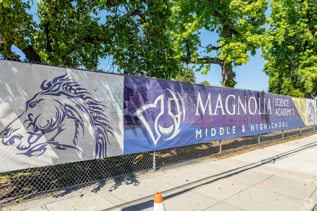 Magnolia