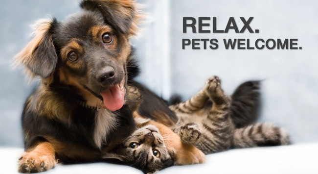 Cats and Dogs Welcome!**