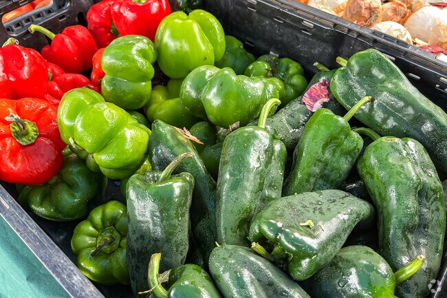 The Brookside Village Farmer's Market welcomes you on the second Sunday of every month.