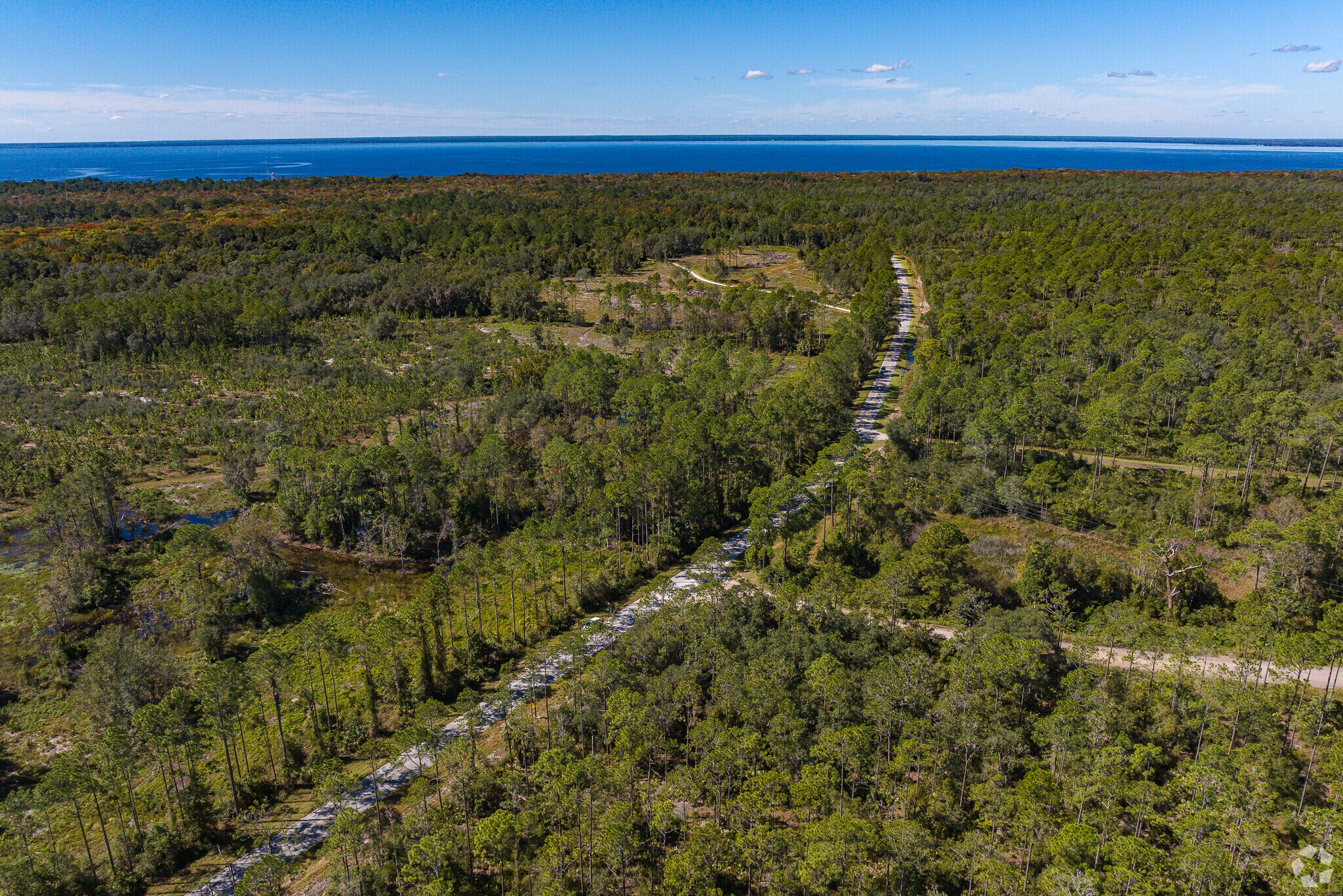 Green space for miles can be found in Seville, Florida.