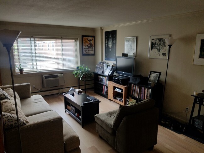 329 Harvard St unit 10, Cambridge, MA 02139 - photo 4